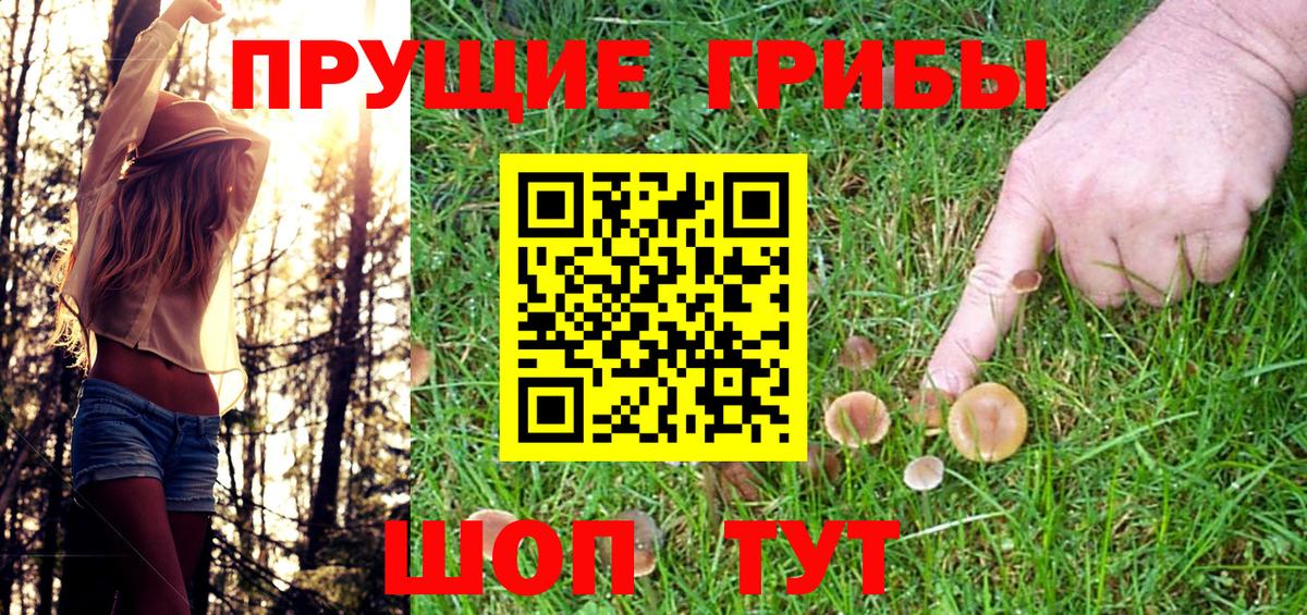 Псилоцибиновые грибы MAGIC MUSHROOMS Елец
