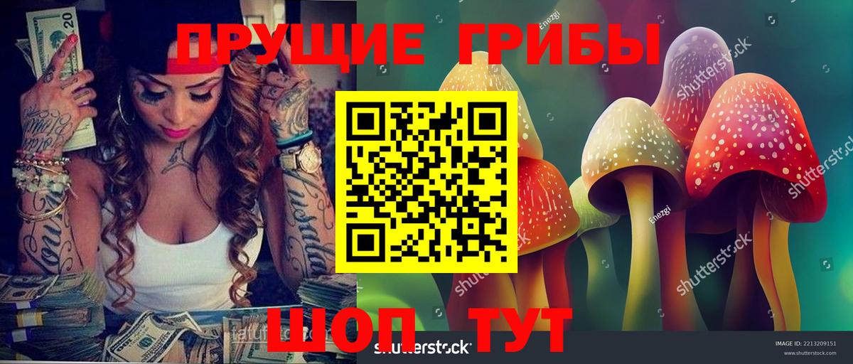 Елец  Галлюциногенные грибы MAGIC MUSHROOMS  Вход с VPN 